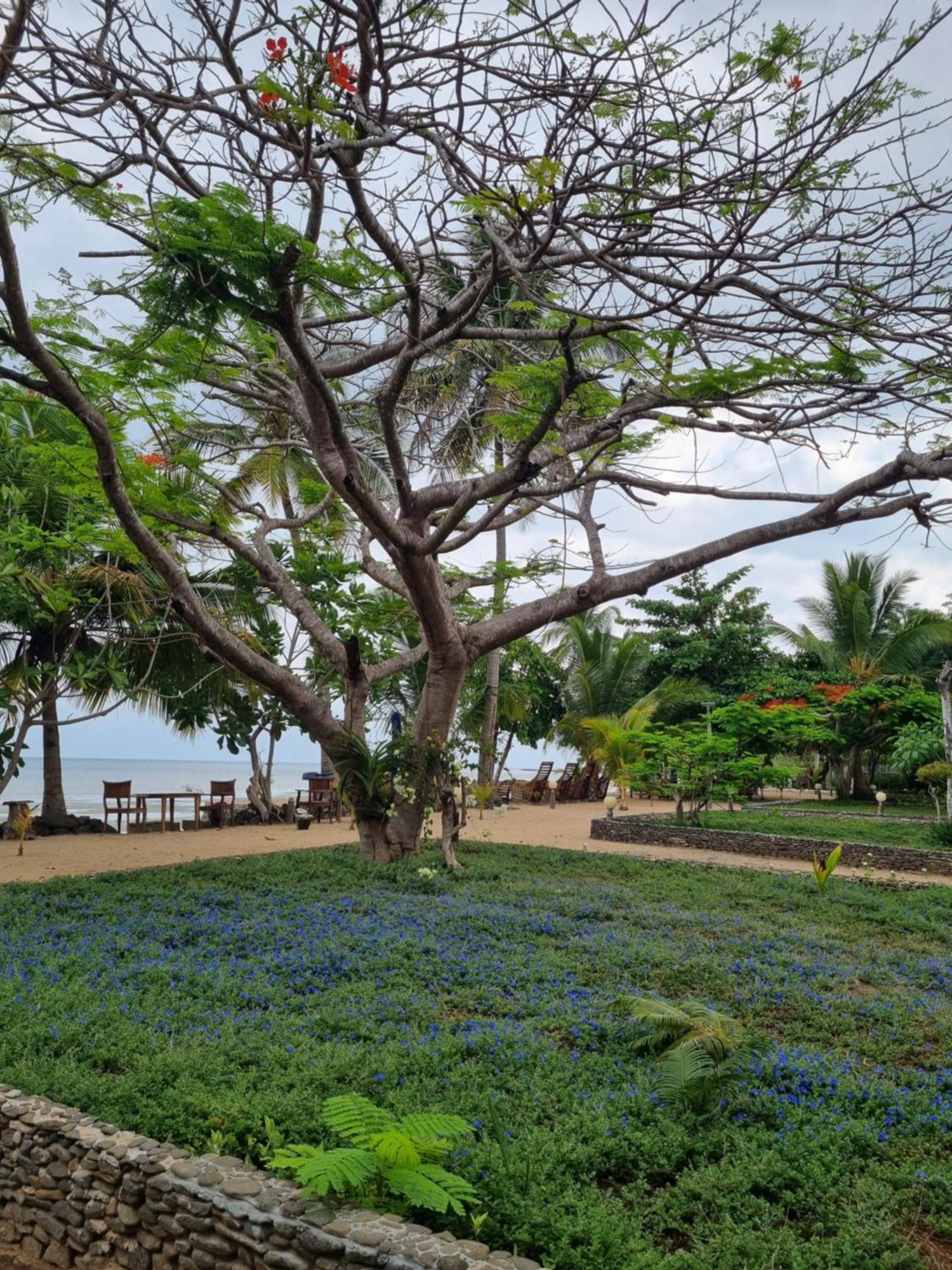 Sangany Lodge Befotaka Bay Exterior foto